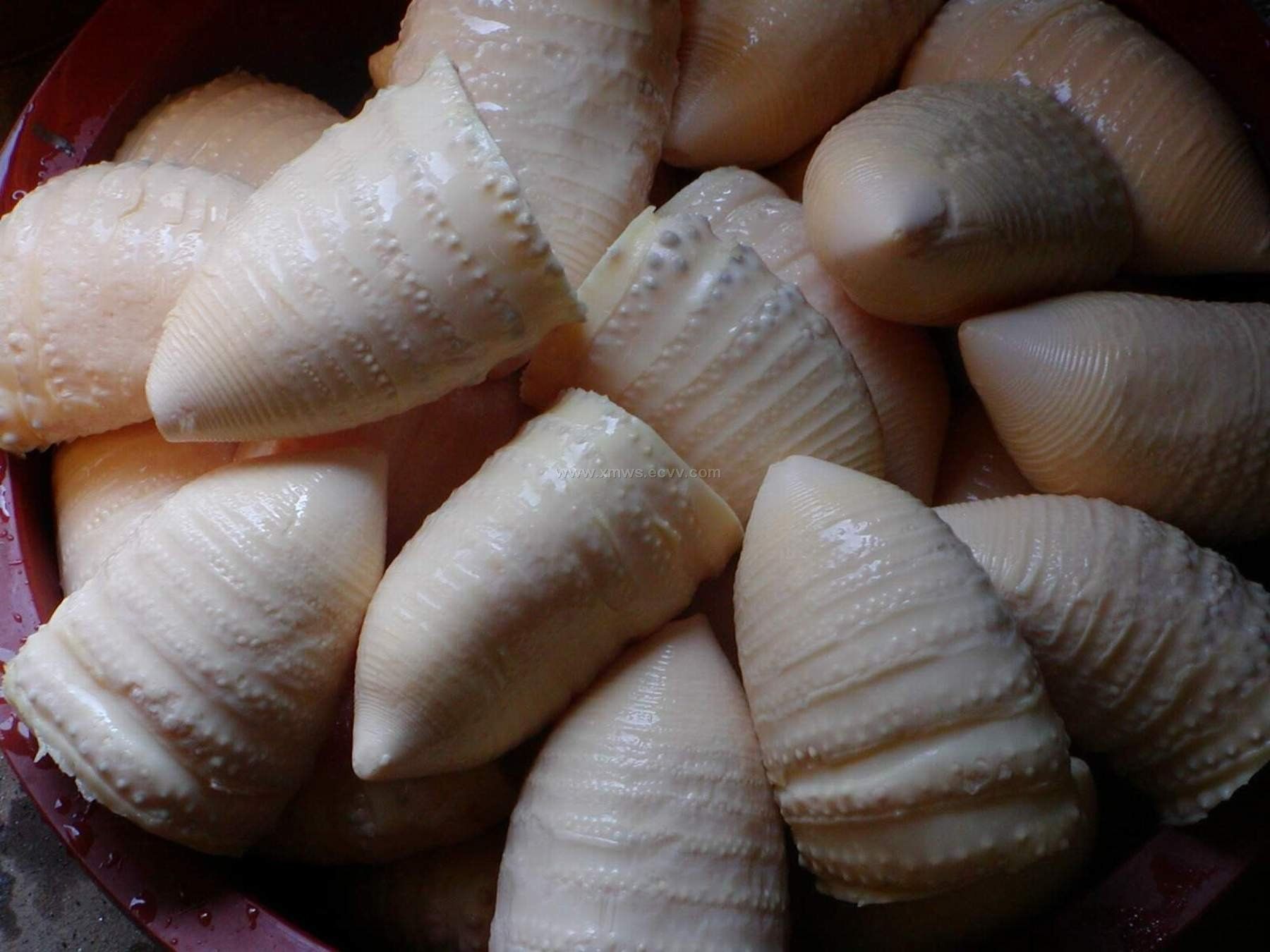 Water Bamboo Shoots from China Manufacturer, Manufactory, Factory and