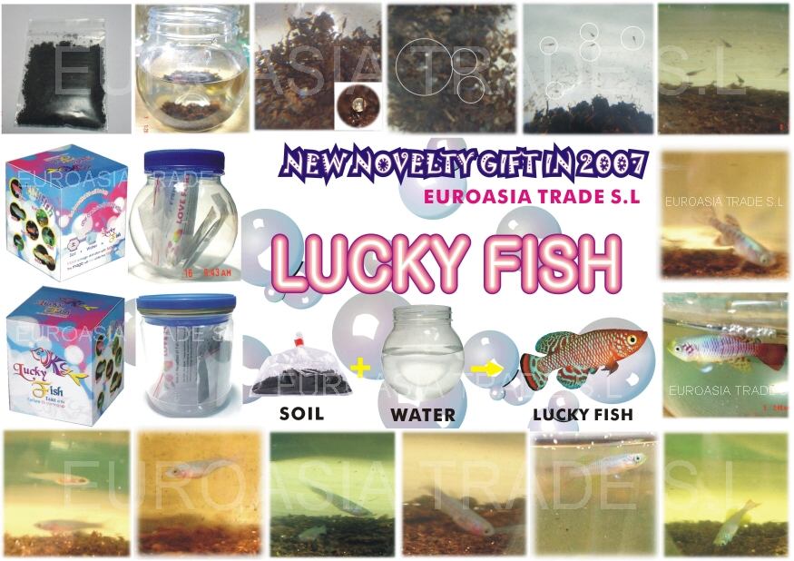  ... Fish, magic fish, magic fish Manufacturer, Trading Company - 1106366