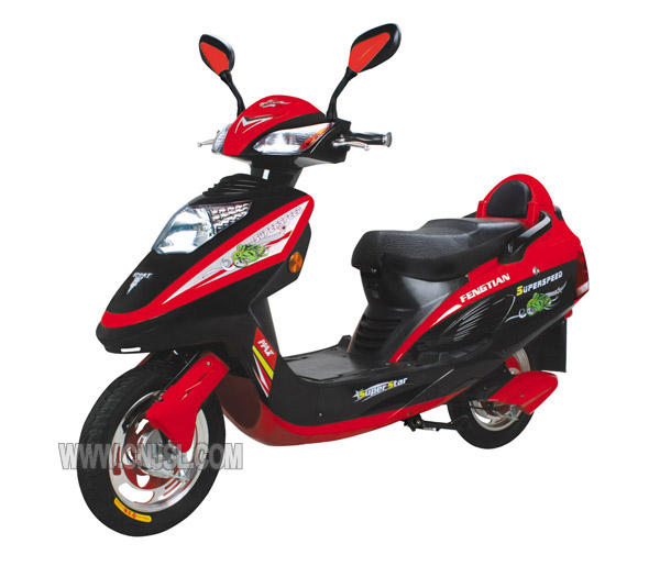 Electric bike 350W JSL-TDL308 JSL-TDL308