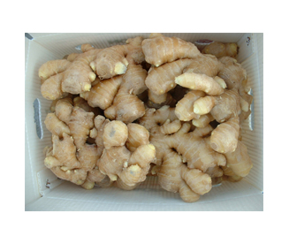 Ginger 