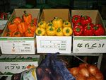 Capsicum(Bell Pepper) Capsicum(Bell Pepper)