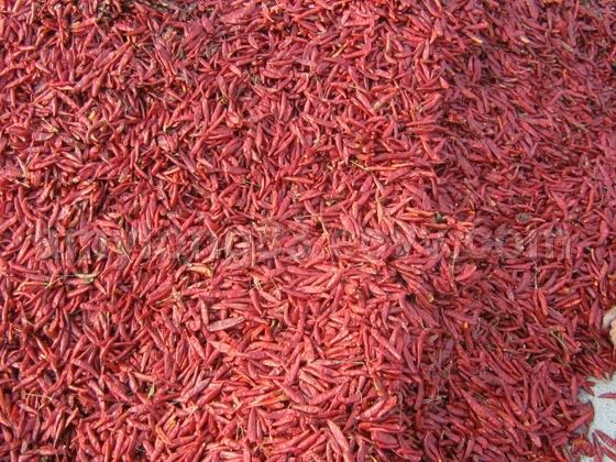 dehydrated pepper YY2008401