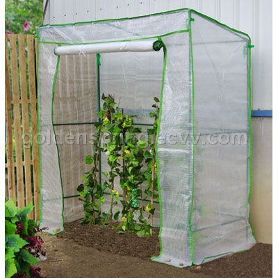 Tomato greenhouse RCT19878200
