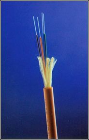 Multi-core Tight Wrapped Indoor Optical Cable (GJFJV4-12Xn) DTS-1011