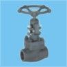 forged globe valve EXPORT