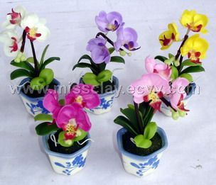 Mini Phal