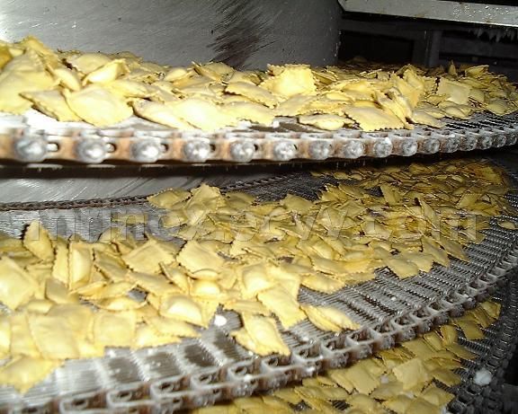 Freezing Tunnel For Pasta Or Other Products,Frozen Food, freezing tunnel model MR 350