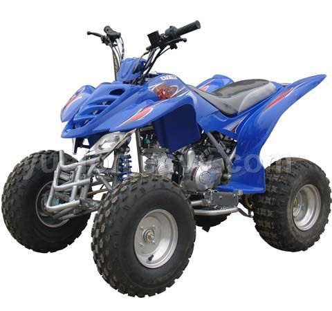 ATV Raptor 110cc (ATV110-01)