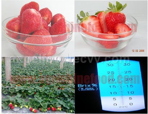 IQF strawberry FS001