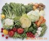 Fresh Vegetables all kinds of fresh vegetable