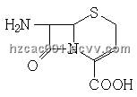 7-ANCA, 7-Amino-3-Nor-3-Cephem-4-Carboxylic acid 
