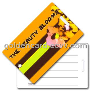 Vivid Plastic Card ( Key Tag,  3-in-1 Card) GC-001221A-AC
