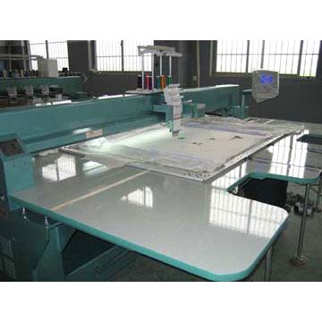 computerized ecvv