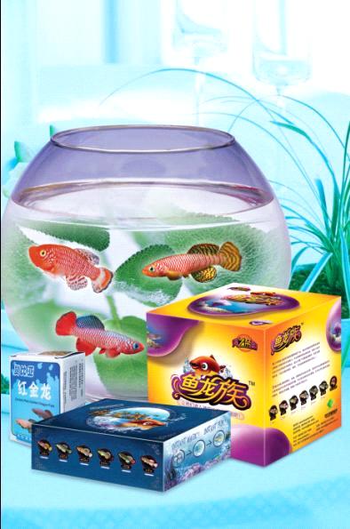 magic fish /holiday gift/education toy/office pet - China magic ...