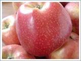 Huaniu apple JNFT-032