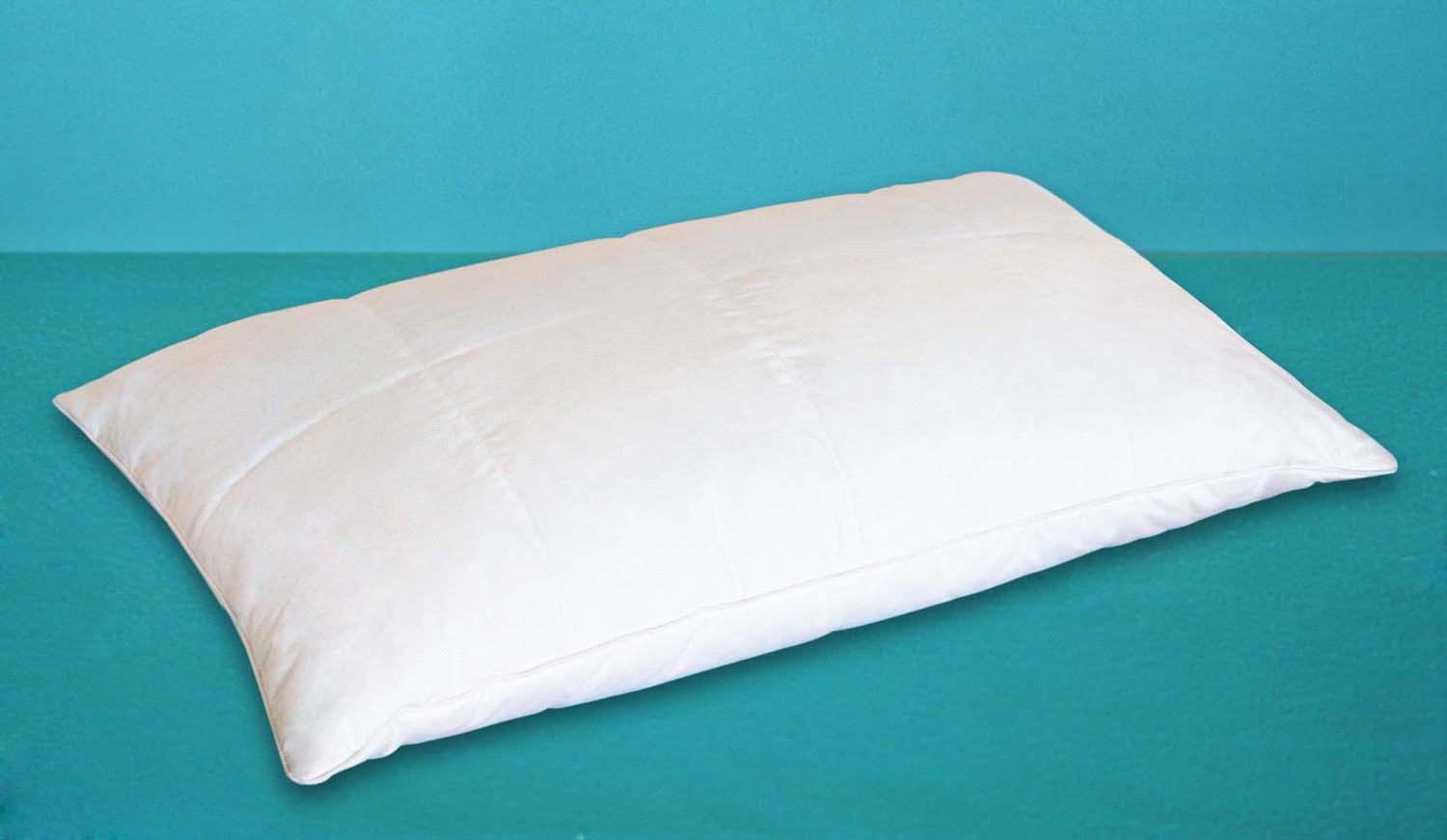100% silk pillow (JFP-001) - China