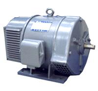 Z2 Series DC Motor 