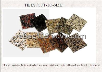 Tile Floors  Kitchen on Granite Tile For Kitchen  Slate Floor Tiles  Tile And Glass