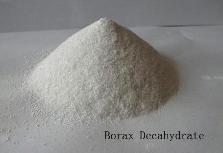borax fungal lung