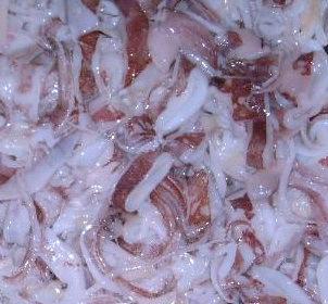 Frozen Squid/House Markerel/Pacific Mackerel/Silver Pomfret/hairtail/yellow croaker/bonito 