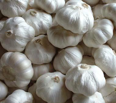 China Garlic