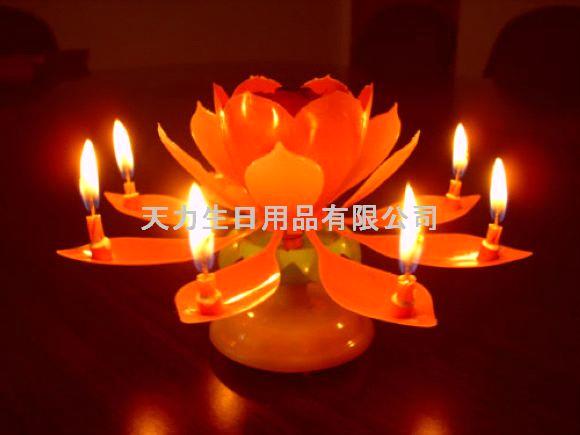 Flower With Candle