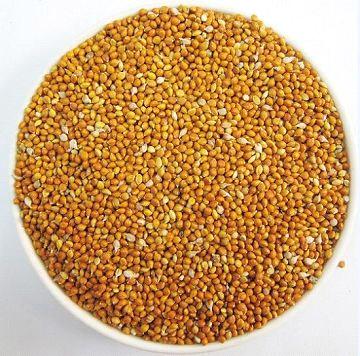 Millet And Sorghum