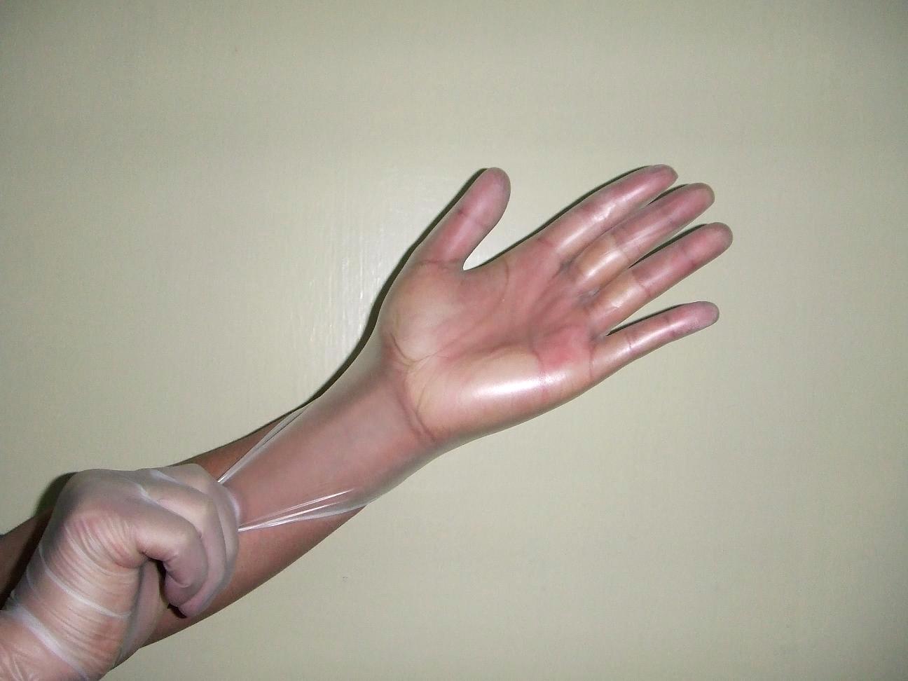 Latex Free Glove