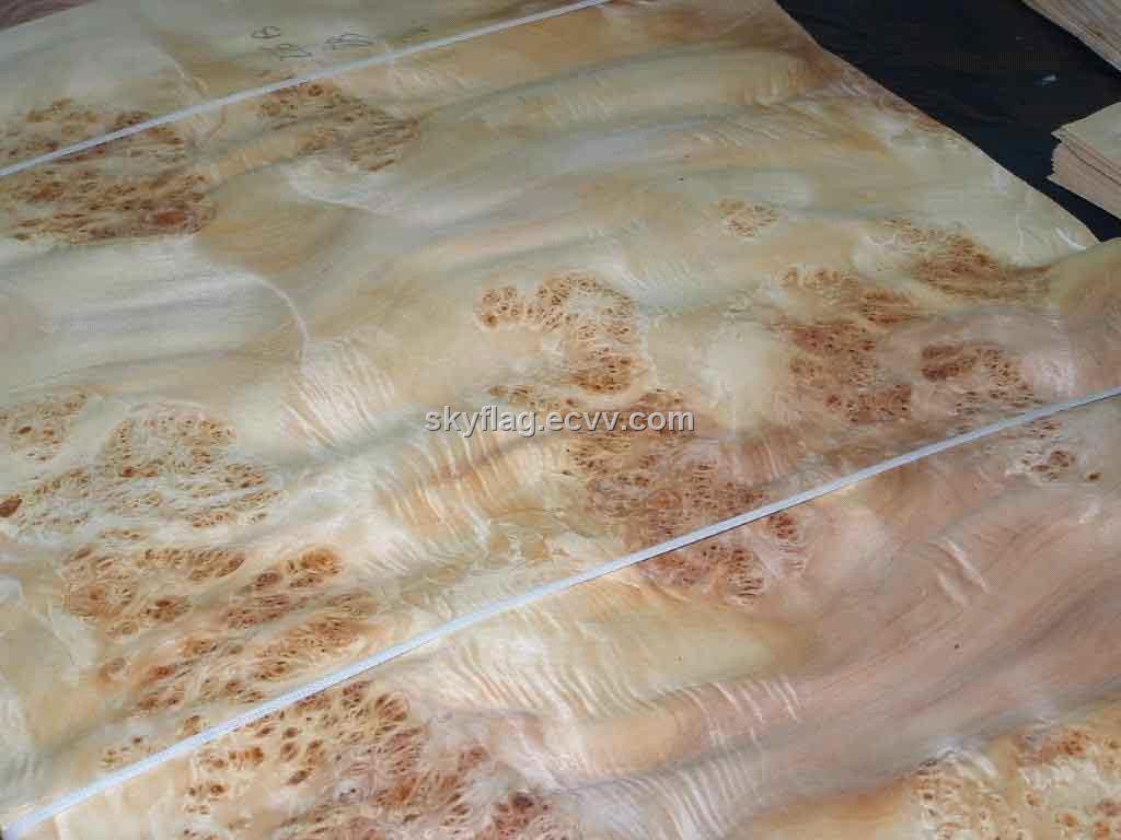 Burl Wood Veneer