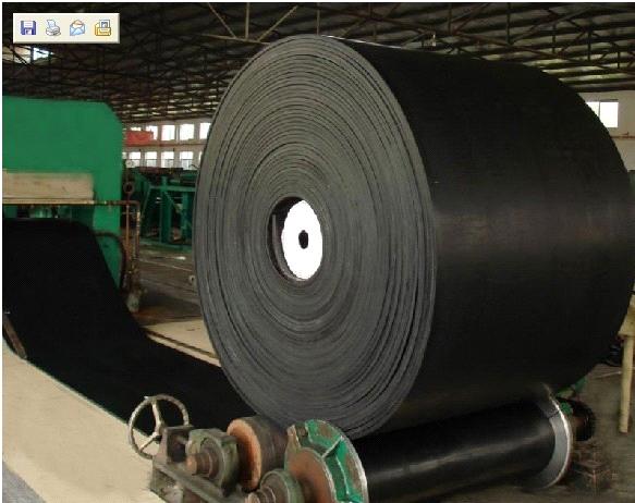 Related Products Nylon Conveyor 7