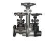 Rising Stem Forged Steel Gate Valve Class800/900/1500 (Screw/SW/BW Ends)