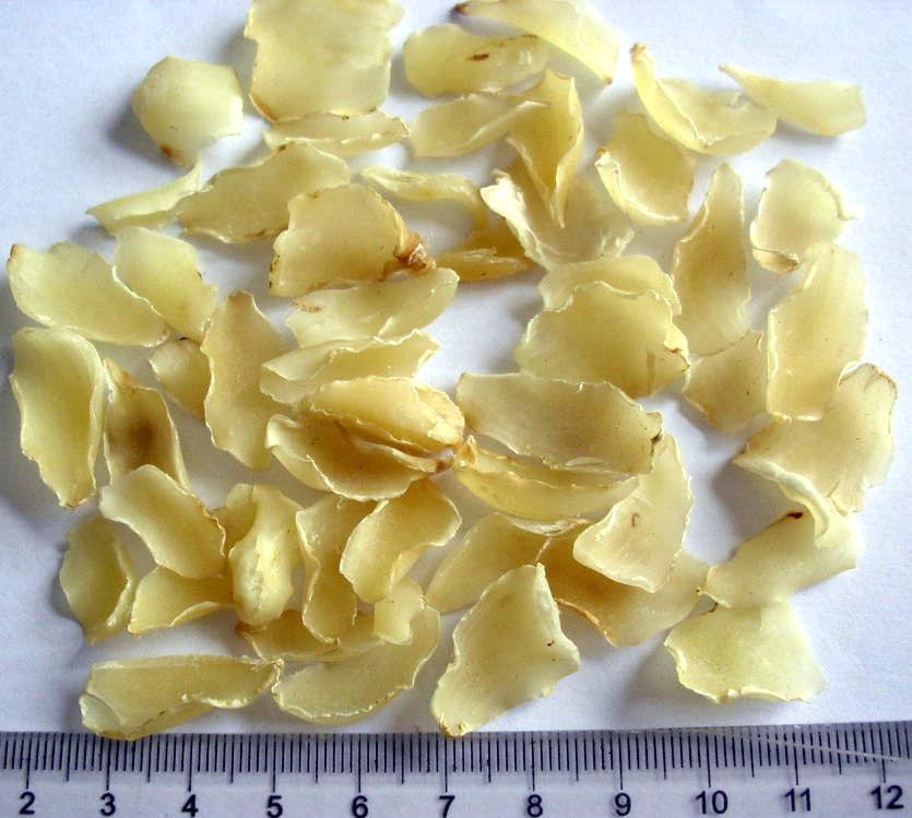 Lily Bulb / Bulbus Lilii from China Manufacturer, Manufactory, Factory and Supplier on