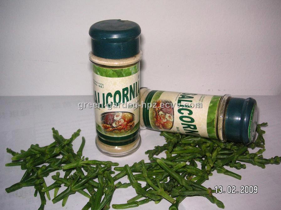 Salicornia - JungleKey.fr Image #250