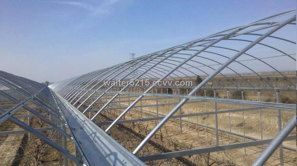 Home > Products Catalog > agricultural greenhouse > greenhouse greenhouse plastic film south africa Home > Products Catalog > agricultural greenhouse > greenhouse greenhouse plastic film south africa