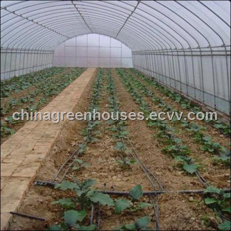 Plastic Greenhouse for Sale (CGS625S) China Plastic Greenhouse greenhouse plastic for sale south africa Plastic Greenhouse for Sale (CGS625S) China Plastic Greenhouse greenhouse plastic for sale south africa