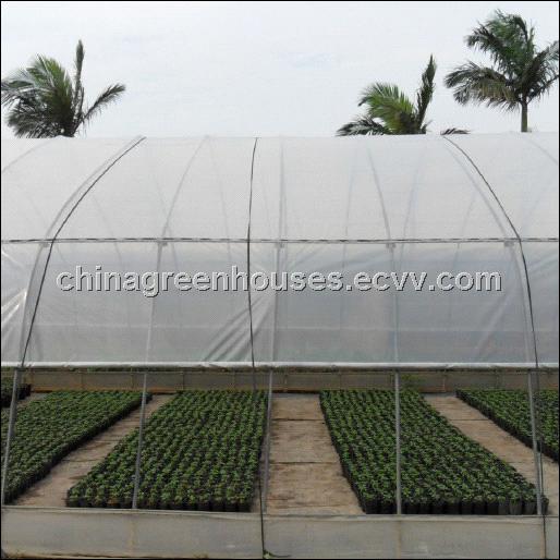 Plastic Greenhouse for Sale (CGS625S) China Plastic Greenhouse greenhouse plastic for sale Plastic Greenhouse for Sale (CGS625S) China Plastic Greenhouse greenhouse plastic for sale