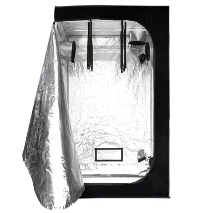 essayist tent essayist tent