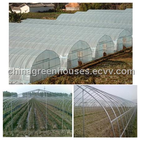 Products Catalog > Plastic Greenhouses > Plastic Vegetable Greenhouse greenhouse plastic film south africa Products Catalog > Plastic Greenhouses > Plastic Vegetable Greenhouse greenhouse plastic film south africa