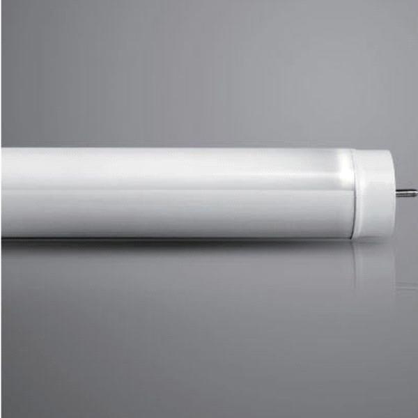 xxx tube video