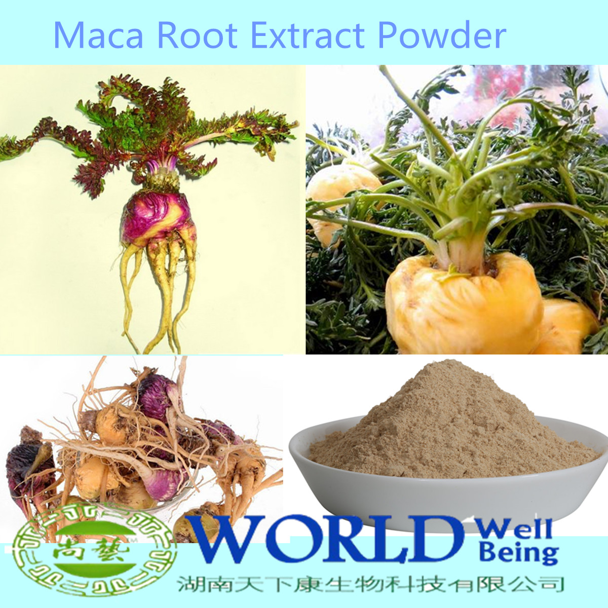 100 Natural Sex Product Black Maca Extract Medicine For Long Time Sex 