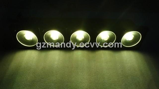 ecaltvv ecaltvv