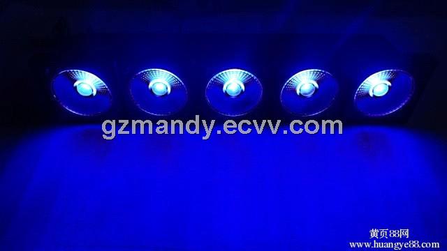 ecaltvv ecaltvv