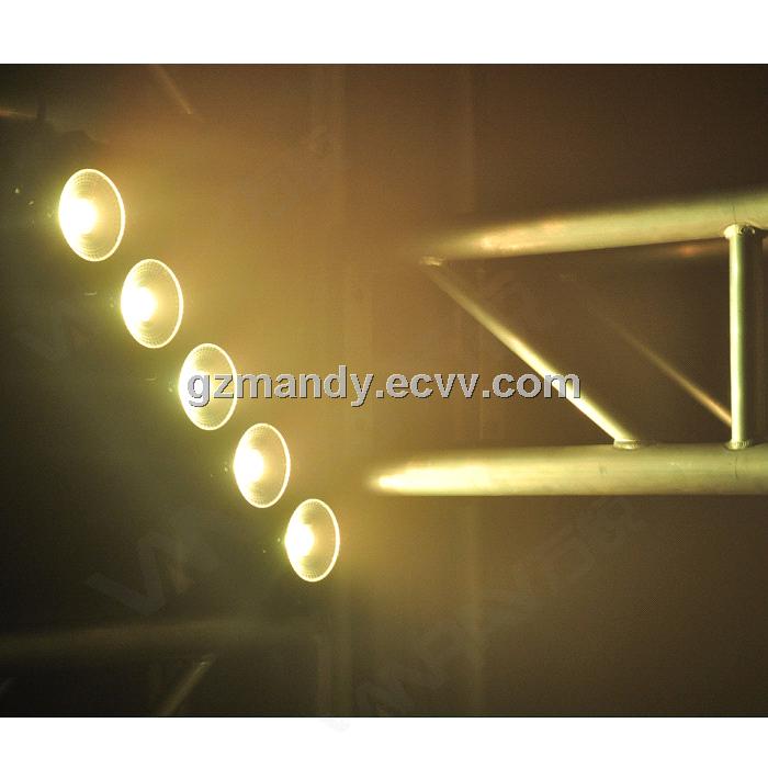 ecaltvv ecaltvv