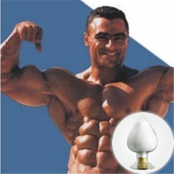Post Cycle Therapy - Steroid.com Nolvadex Oral : Uses, Side Effects, Interactions, Pictures