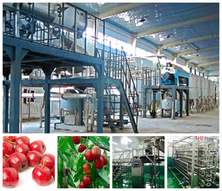 Date jujube hawthorn and similar fruit processing line Date jujube hawthorn and similar fruit processing line