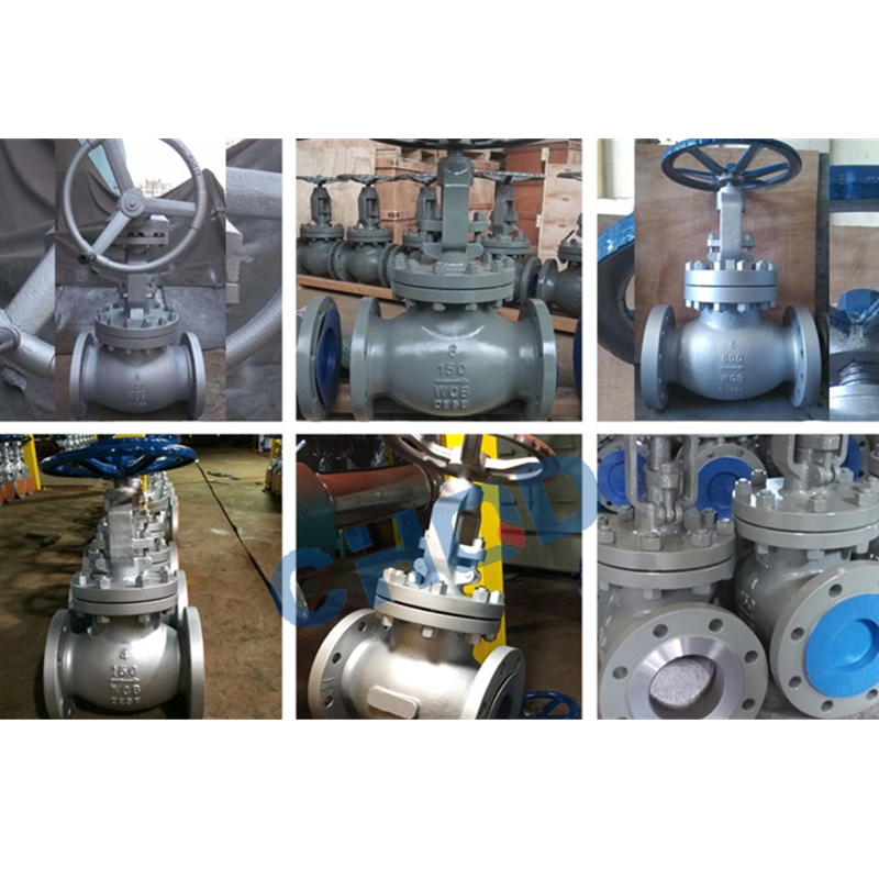 Bs Wcb Wcc Lcb Lcc Bolted Bonnet Globe Valve For Rf Connection From