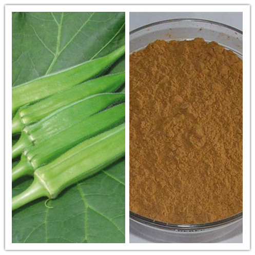 Natural anti fatigue sex improvement Okra Extract