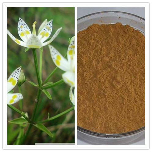 High Quality CAS No 17388395 Natural 10 40 98 Swertiamarin