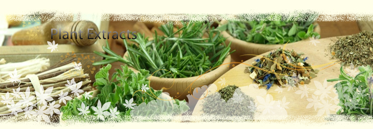 100 Natural Pure Turkesterone Powder CAS 41451870 Turkesterone Extract