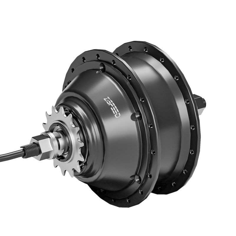 ZSM2136A 2 Speed 250W Automatic Motor for Classic ECity Bikes